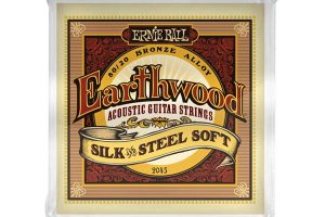 ERNIE BALL 2045