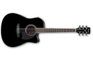 IBANEZ PF15ECE-BK