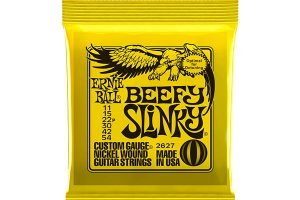 ERNIE BALL 2627