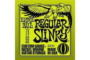 ERNIE BALL 2221