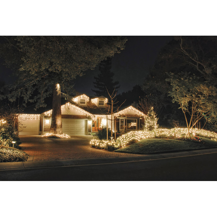 Showtec LED Net Light WW IP44 - immagine 3