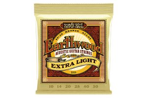 ERNIE BALL 80/20 Earthwood