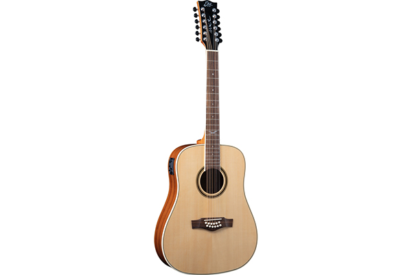 EKO NXT D100E XII Natural 12 corde