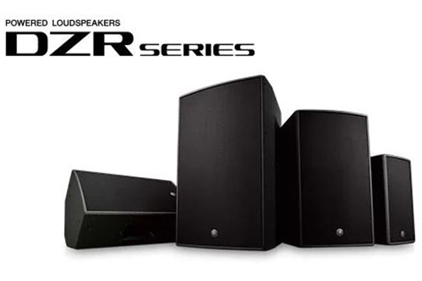 YAMAHA DZR315 3-Way - immagine 4