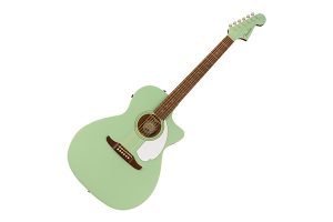 FENDER Newporter Player Surf green