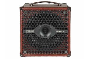 DV Mark AC 801 P Acoustic