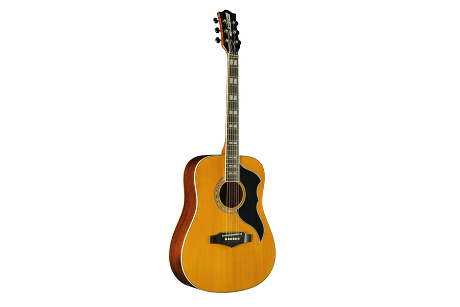 EKO RANGER VI VR Nat Top Stained EQ