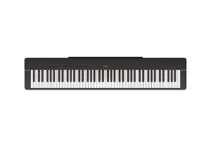 YAMAHA P-225B