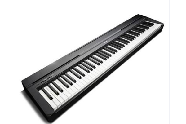 YAMAHA P-45B