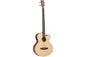 Bassi Acustici