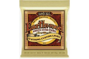 Ernie Ball 2013 Earthwood 12-String Custom Light