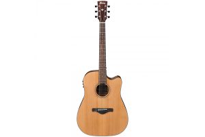 IBANEZ AW65ECELG